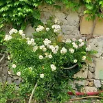 Chateau Tour Du Xiii Siecle *