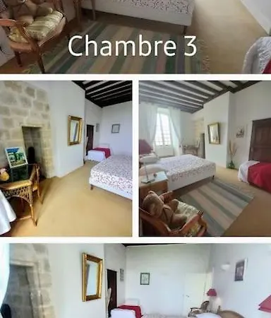 Chateau Tour Du Xiii Siecle *