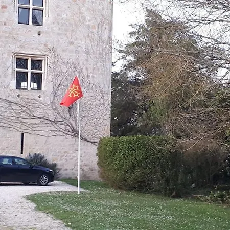 Chateau Tour Du Xiii Siecle Gazaupouy