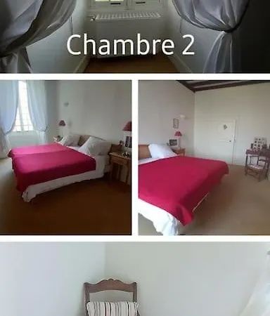 Chateau Tour Du Xiii Siecle Tatil Evi Gazaupouy